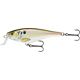 Live River Shad