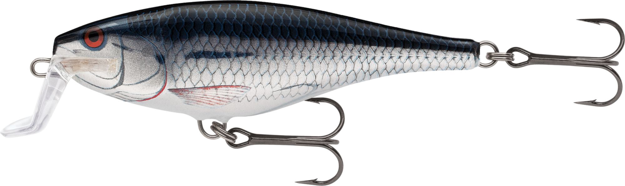 Silver Shiner