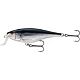 Silver Shiner