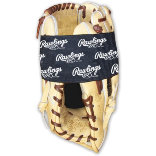 Rawlings Miniature Gold Glove Award | Dick's Sporting Goods