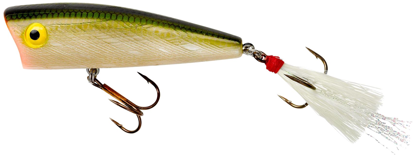 Tennessee Shad