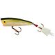 Tennessee Shad