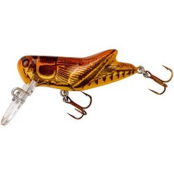 Rebel Joe camel top water lure I found for 10 bucks in a local