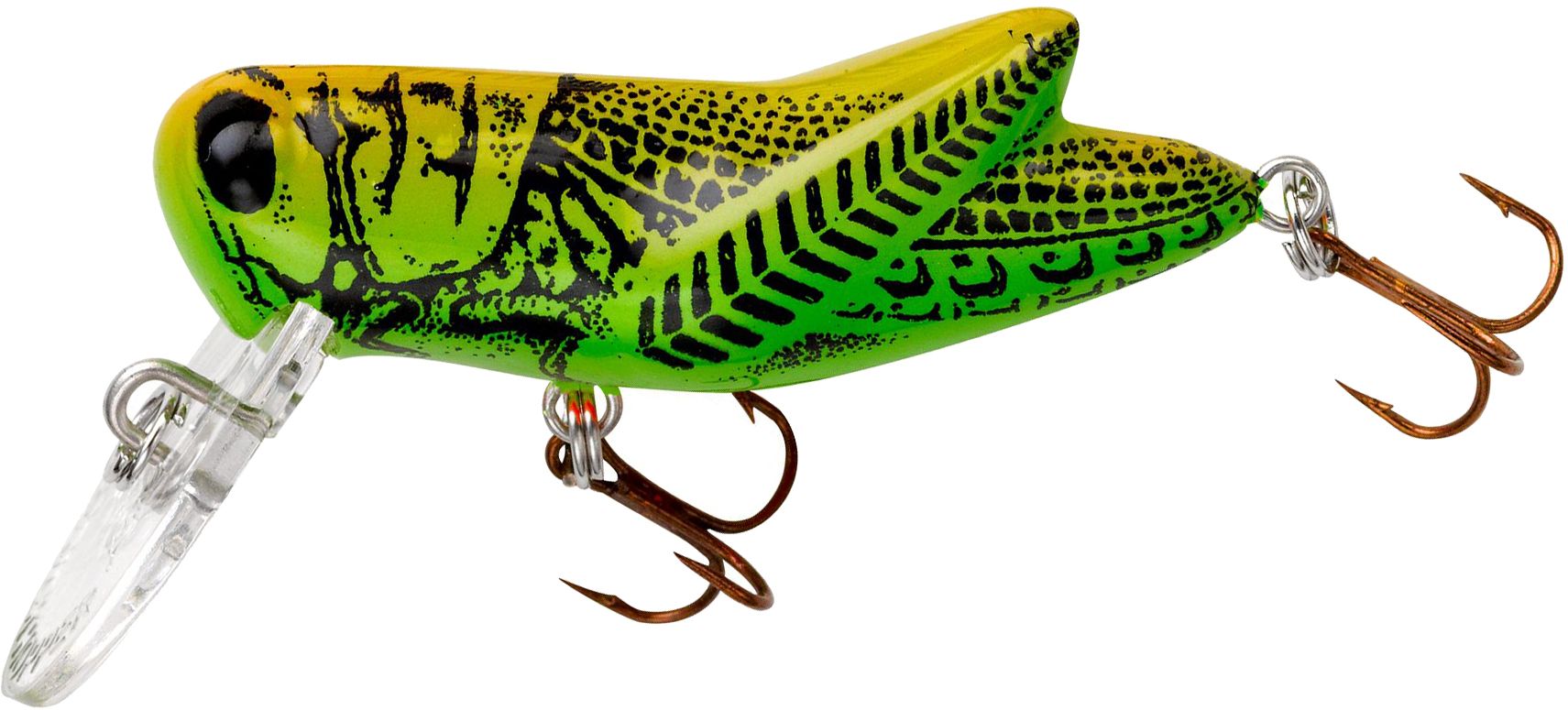 Green Grasshopper