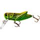 Green Grasshopper