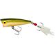 Tennessee Shad