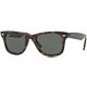 Black/Green Polarized