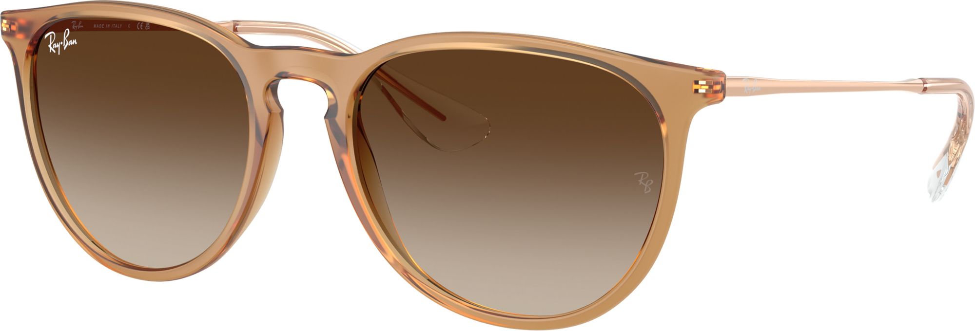 Ray-Ban Erika Classic Sunglasses