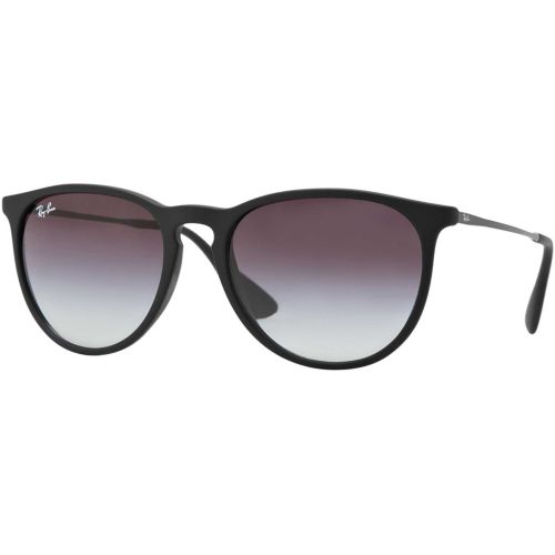 Ray-Ban Erika Classic Sunglasses | Dick's Sporting Goods
