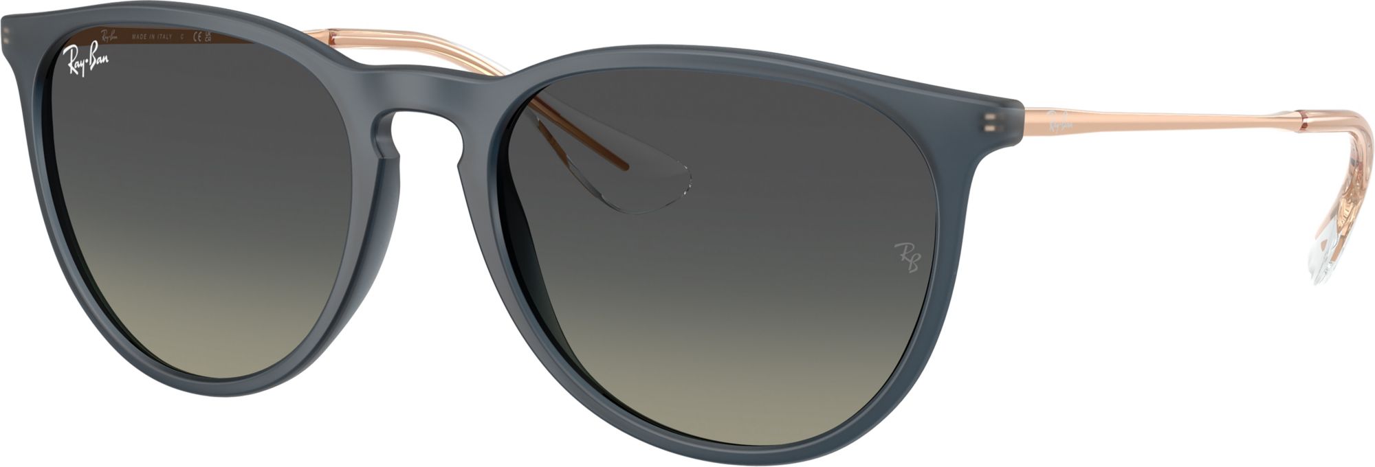 Ray-Ban Erika Classic Sunglasses