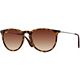 Havanna/Brown Gradient