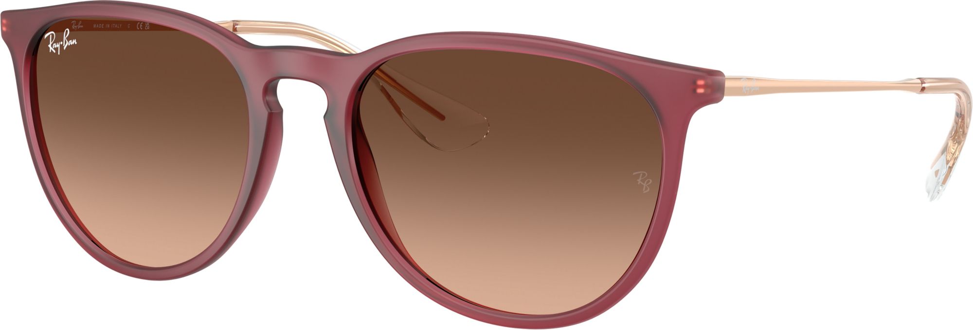 Ray-Ban Erika Classic Sunglasses