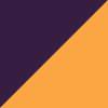 Minnesota Vikings