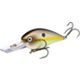 Summer Sexy Shad