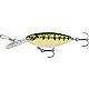 Chrome Yellow Perch
