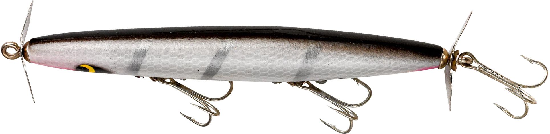 Silver Shiner