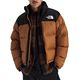 Burnt Umber/Tnf Black