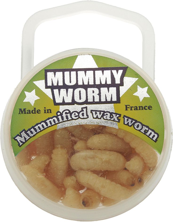 Eurotackle Mummy Worm Mummified Wax Worm