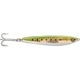 Sardine