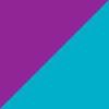 Turquoise/Purple