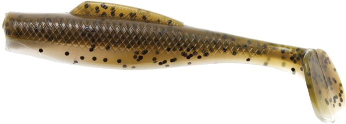 Mud Minnow