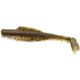 Mud Minnow