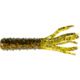 Canada Craw