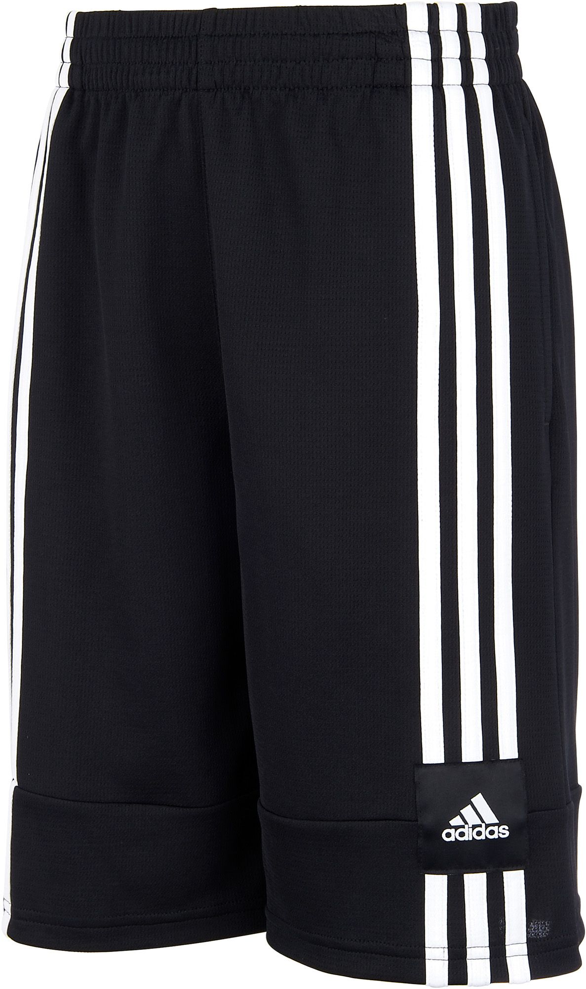 short adidas entrada