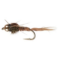 Fly Selection for Trout