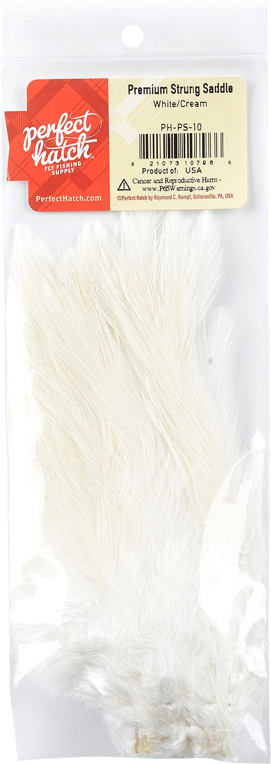 Cream/White