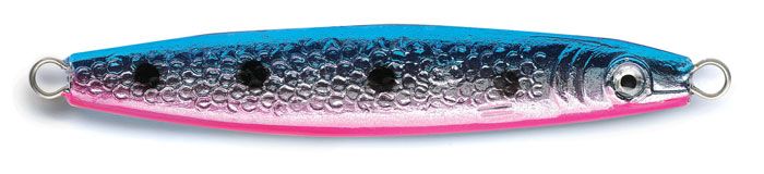Rainbow Trout