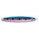 Rainbow Trout