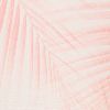 Soft Palms Coral