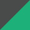 Matte Gray/Green Mirror
