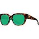Shiny Palm Tortoise/Green Mirror