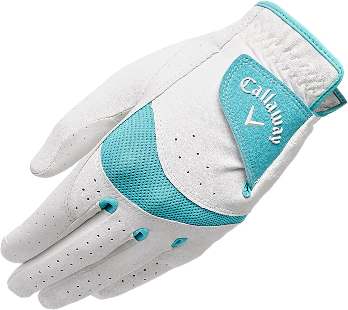 White/Teal