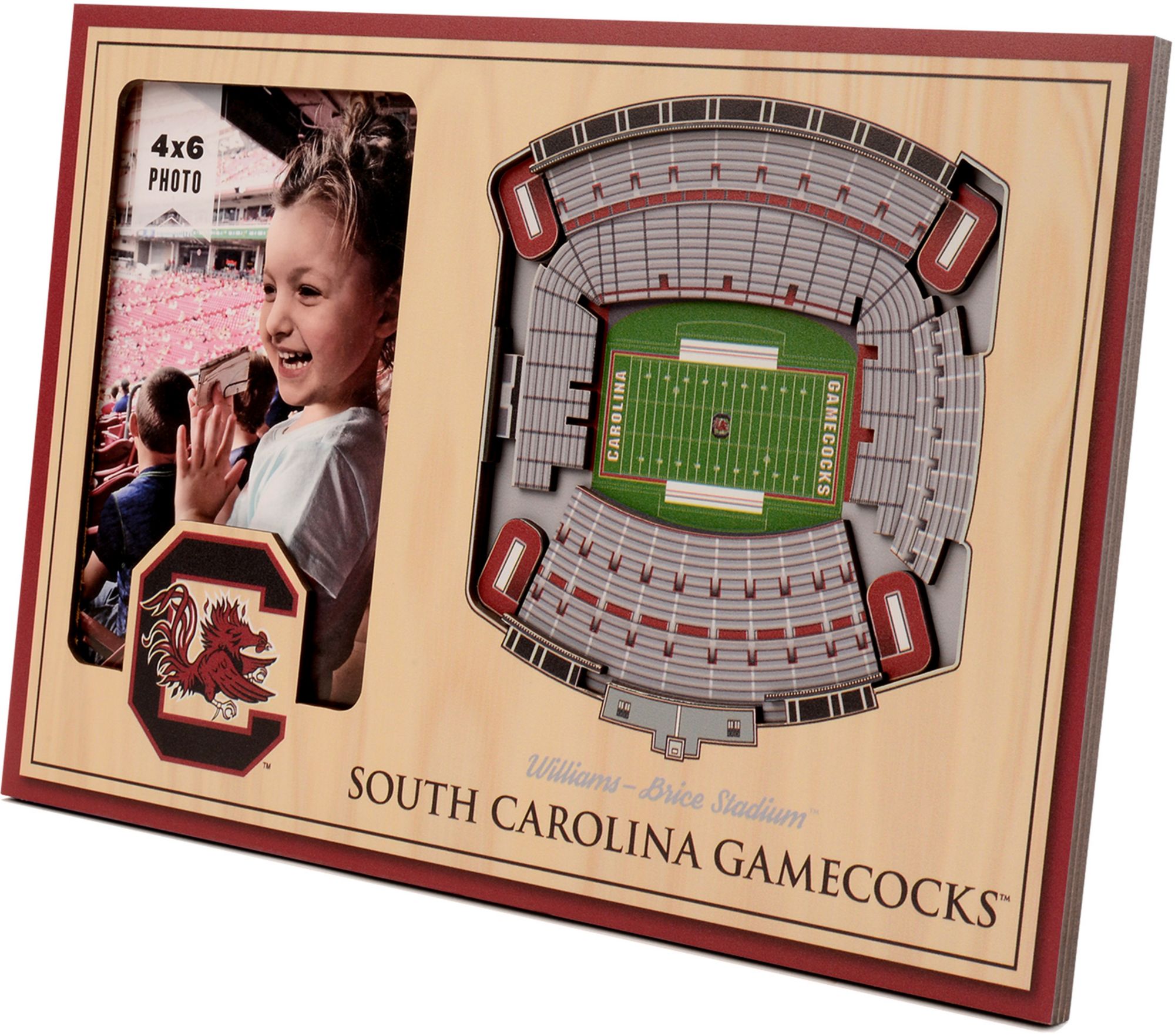 YouTheFan South Carolina Gamecocks 3D Picture Frame