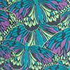 Monarch