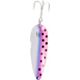 Rainbow Trout
