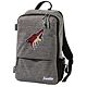 Arizona Coyotes
