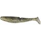 New Shad