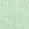Leaf/Pastel Green