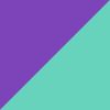Purple/Teal