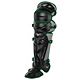 Black/Dark Green