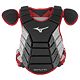 Black/Cardinal