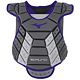 Grey/Purple