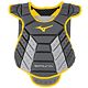 Grey/Yellow