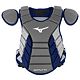 Grey/Navy