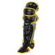 Black/Yellow