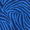 Zebra Chapmani